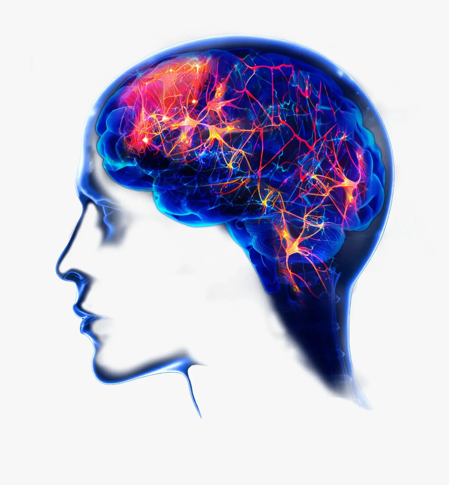 Bienestar, Medicina Regenerativa y Longevidad